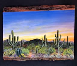 Mari's Desert View Paintings