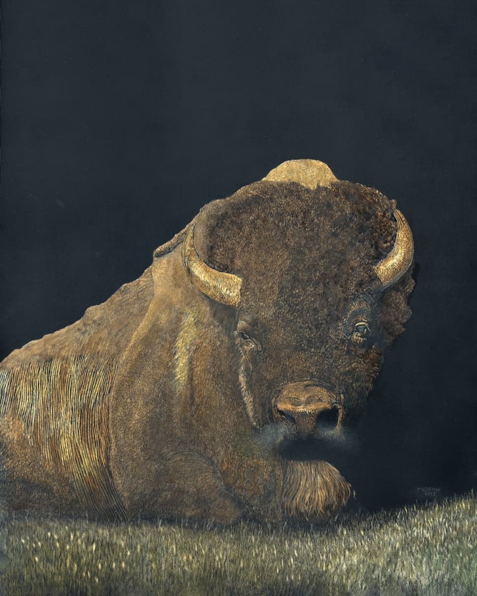 Bodacious Bob 9×12 Mounted Paper Print