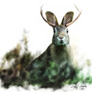 David Harding Wildlife Art