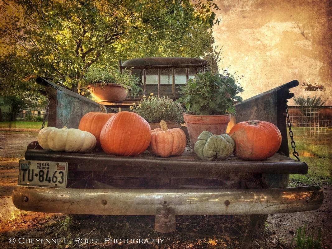 Farm to Market