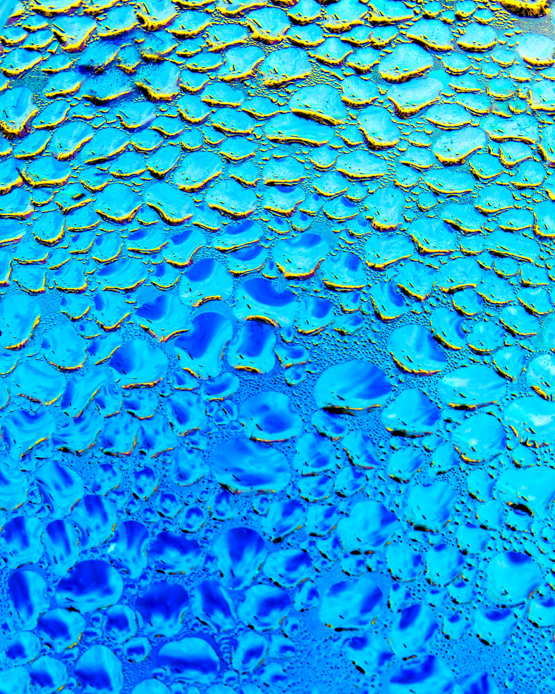 Ramen Blue Gallery Wrapped Canvas