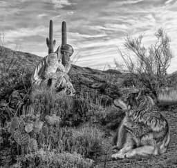 Faughn Photography
